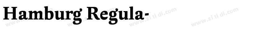Hamburg Regula字体转换